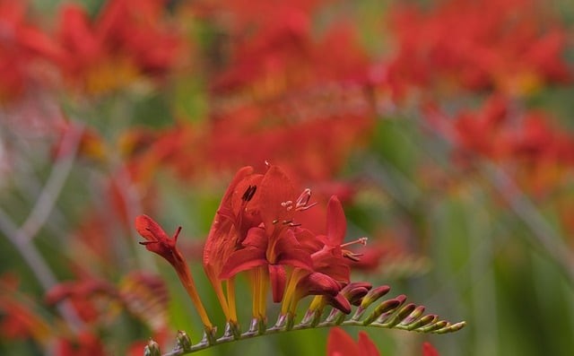 四川单招投档什么时候