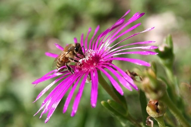 四川单招多久填完志愿