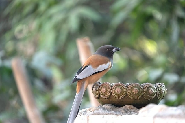 四川省成都市中和职业中学简介