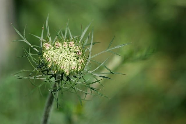 攀枝花卫生学校2025年招生录取分数线