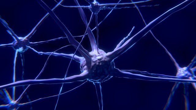 泸州市星宇职业技术学校招生简介