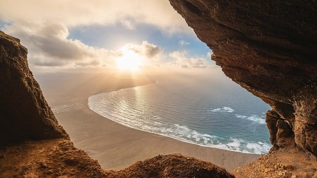 2025单招卷四川语文