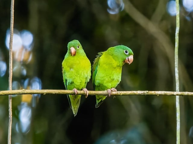 四川中职单招电子信息
