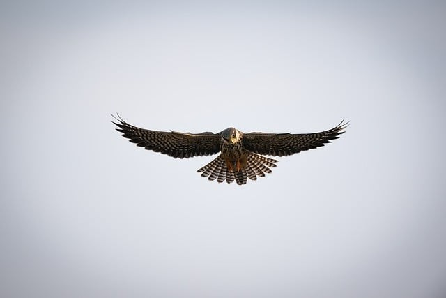 都江堰市职业中学2025年招生简介