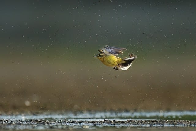 四川单招专业院校排名