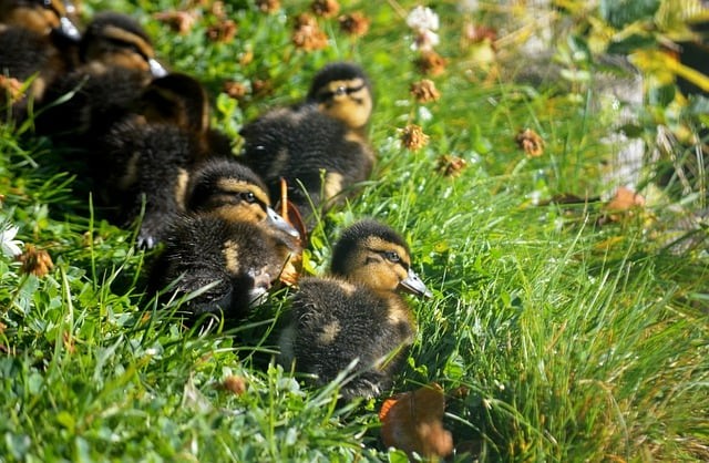 成都市机电工程学校就业情况怎么样？学校地址在哪