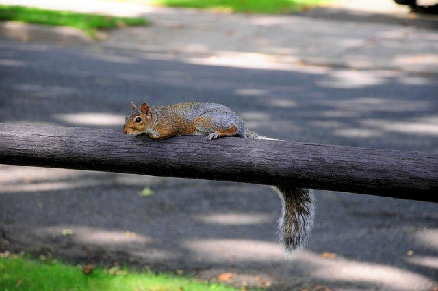 四川单招扣分标准表