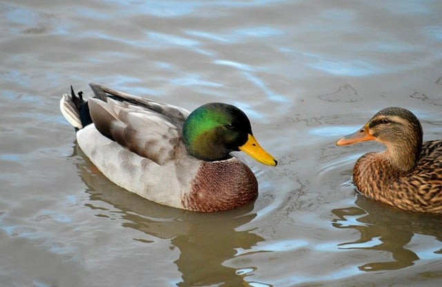 德阳电子工程学校2025年招生录取分数线