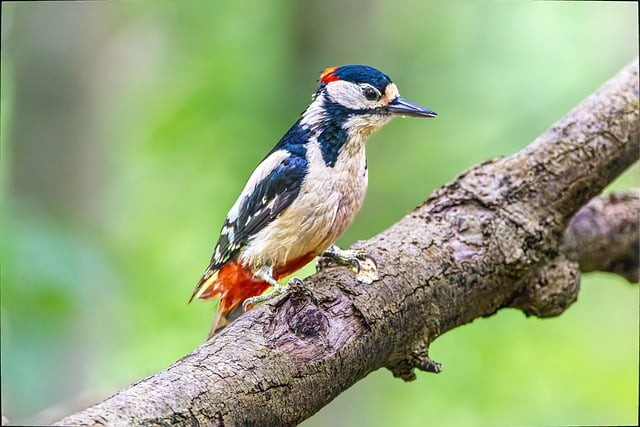 大竹县清水职业中学2025年招生录取分数线