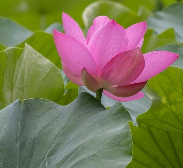 四川2026年单招教材