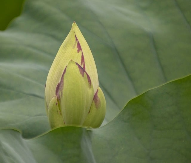 四川单招查学校软件 四川单招查学校软件