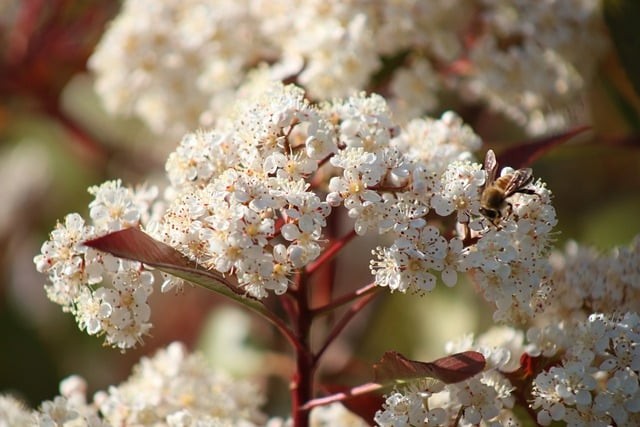 四川单招寝室好的公办