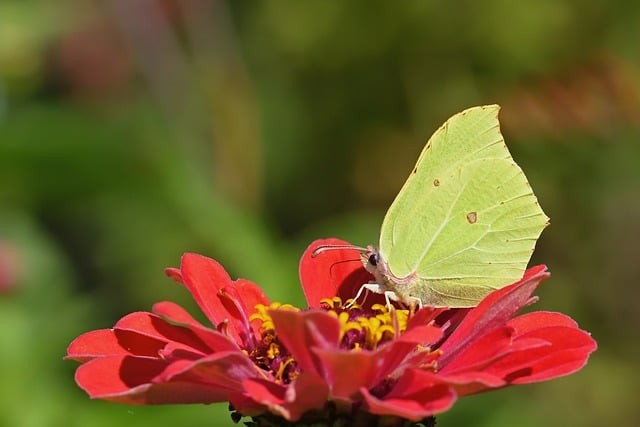 巴中市第三中学2024招生简介