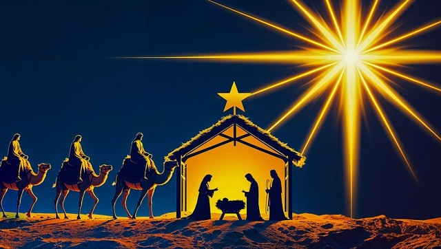 2024四川单招排行榜