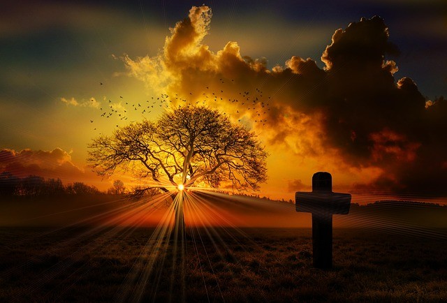 乐山沙湾职业高级中学2025年招生录取分数线