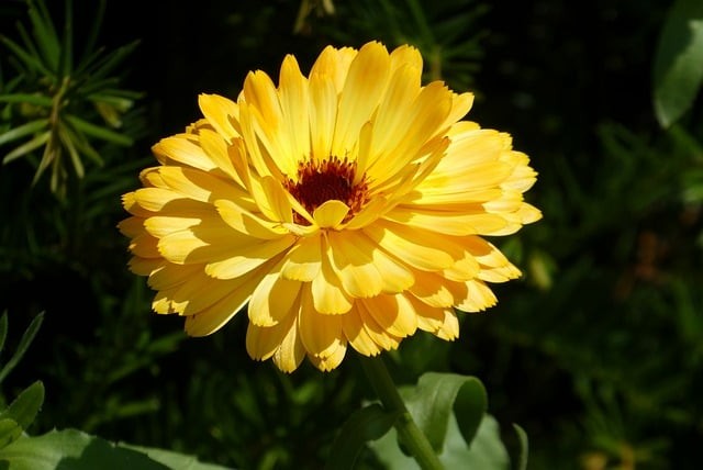 泸州工业技工学校2025年招生录取分数线