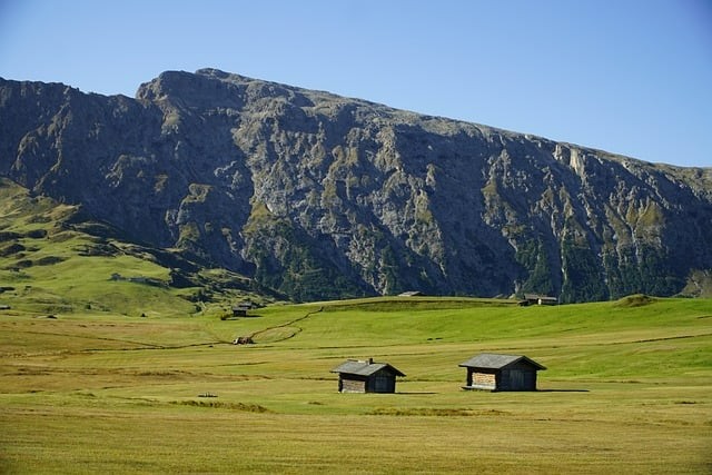 四川单招专业院校排名