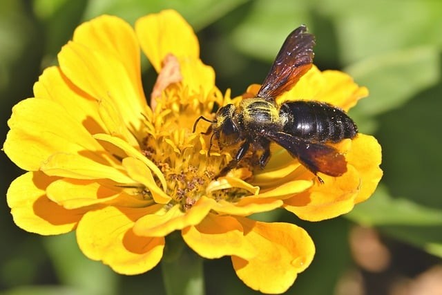 四川单招新疆学校是哪个 四川单招新疆学校是哪个