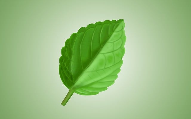 成都青华职业学校校园环境如何，寝室好不好