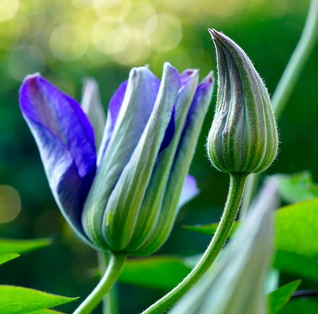 单招成绩分数线四川人数