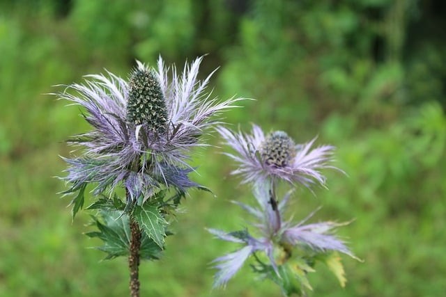 四川单招参考书电子版