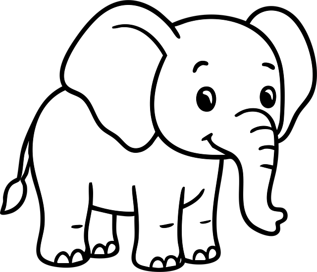 四川单招护理职业技能