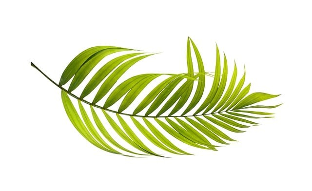 民办榆林文投职业学校简介，怎么样，靠谱吗