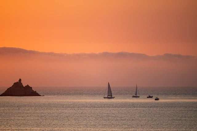 成都市七中初中学校2025年艺体生招生简介