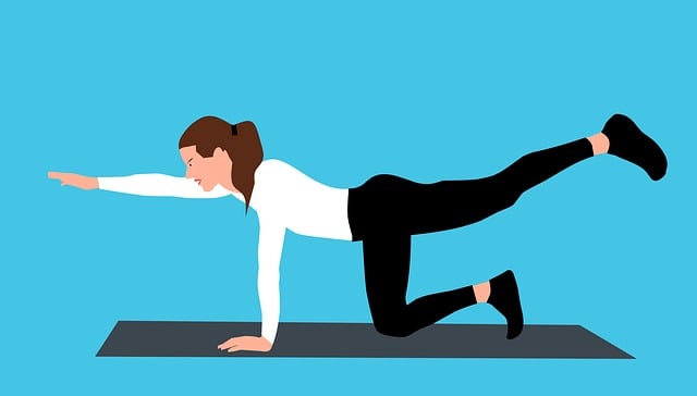 四川乐山单招报名 四川乐山单招报名