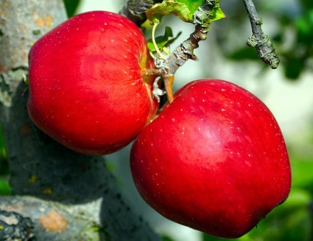 四川单招专业解析