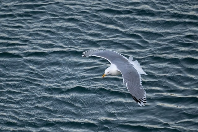 单招四川计算机学校推荐
