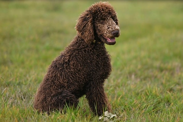 四川省眉山中学校办学条件