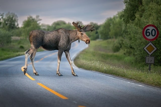 成都市金海洋创意产业职业技术学校就业率如何呢