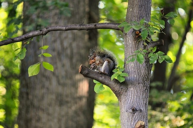四川单招中职建筑类分数