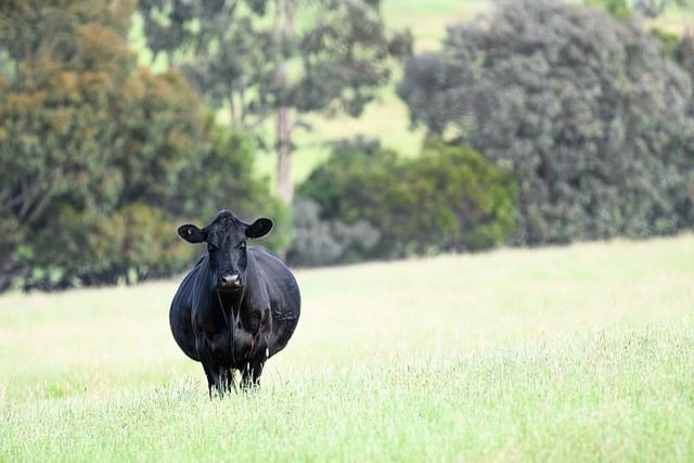 四川单招成都避雷