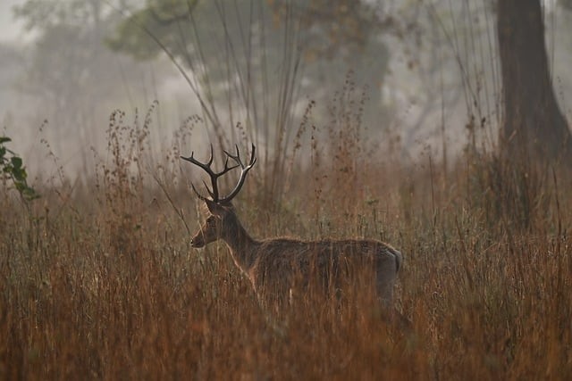 隆昌县金成职业学校2025年录取分数线
