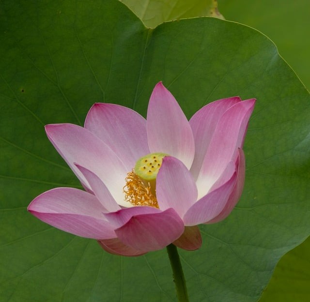 宜宾县高场职业中学校2025年招生简介