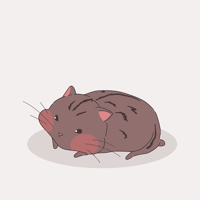 四川单招宜宾蒋老师