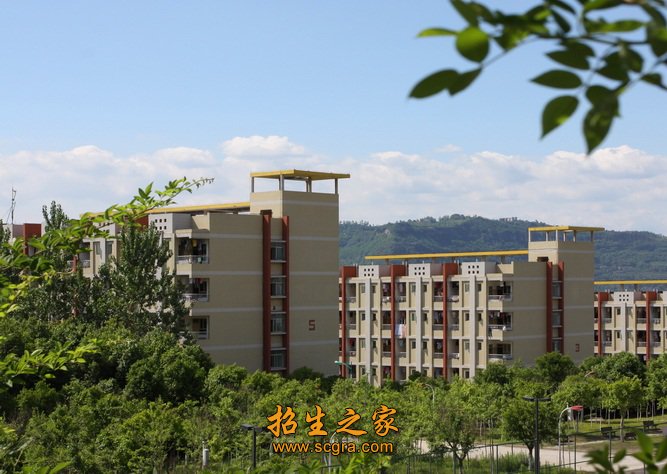 校园掠影