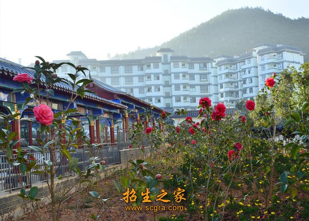 校园景色