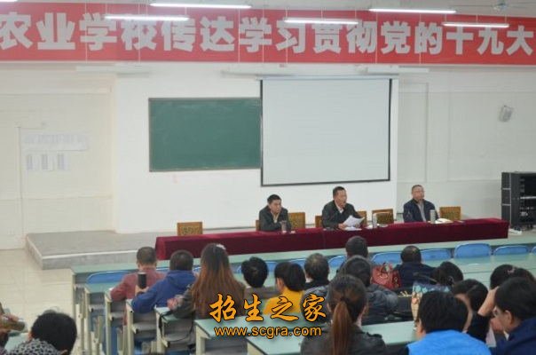 校园活动