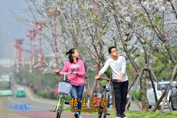 眉山职业技术学院创办时间_2019年开设专业