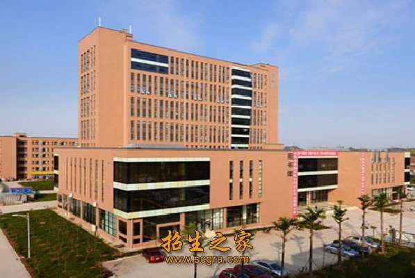 四川希望汽车技师学院2018年录取分数线