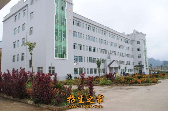 施秉县中等职业技术学校2019年录取分数线