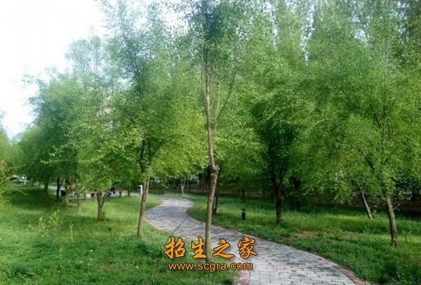 西安城市建设职业学院录取规则如何_资助政策