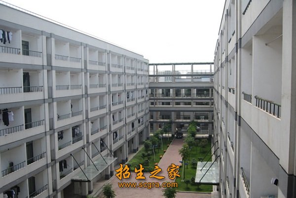 学校环境