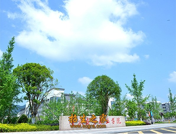 重庆商务职业学院开设了哪些专业