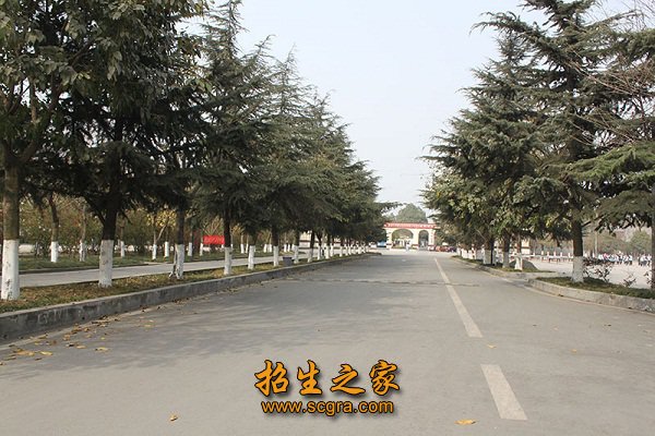 四川大学附设华西卫生学校校园环境怎样，开设了哪些专业？