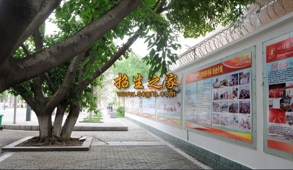 四川省资阳师范学校2020年招生专业
