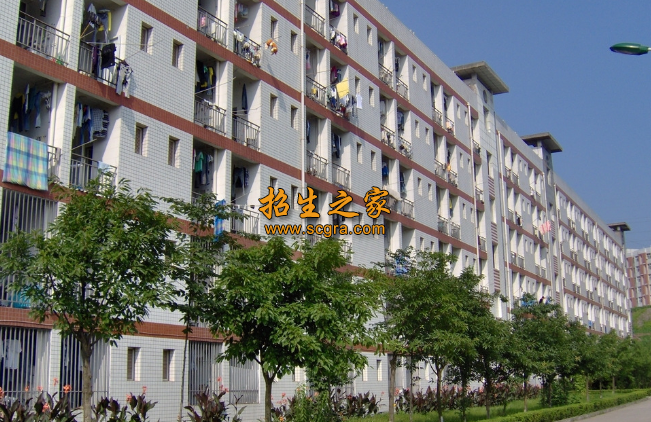 四川省宜宾市职业技术学校2020年招生专业